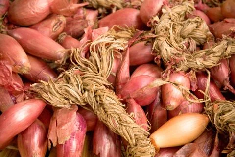 Onions Stock Photos