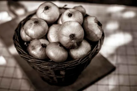 Onions Stock Photos