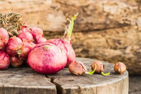 Onions Stock Photos