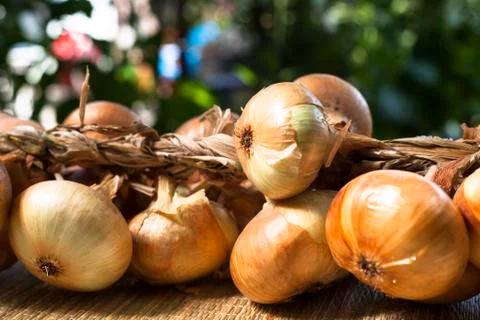 Onions Stock Photos