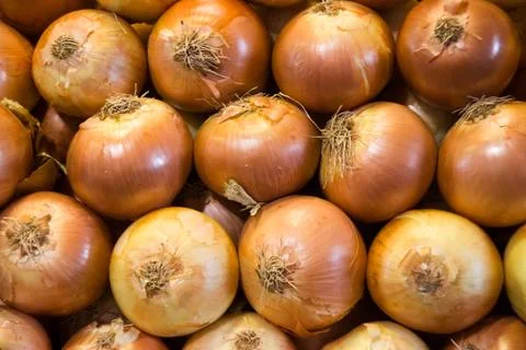 Onions Stock Photos