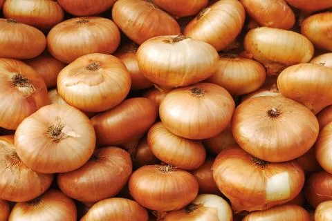 Onions Stock Photos
