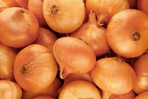 Onions Stock Photos
