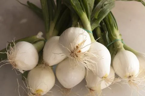 Onions Stock-Fotos