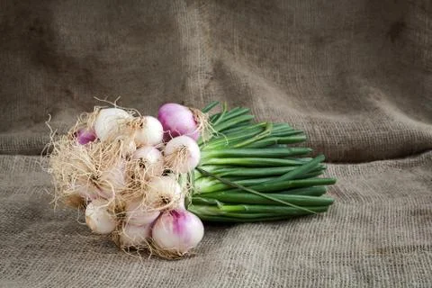Onions Stock Photos