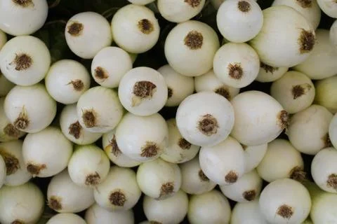 Onions Stock Photos