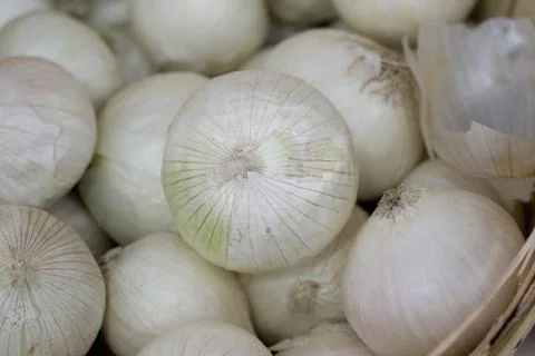 Onions Stock Photos