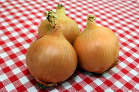 Onions Stock Photos