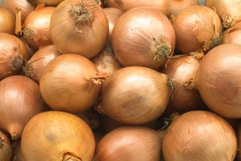 Onions Stock Photos
