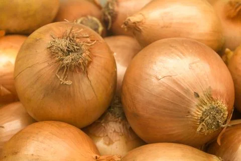 Onions Stock Photos