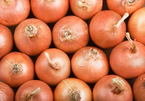 Onions Stock Photos