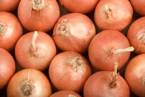 Onions Stock Photos