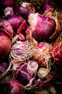 Onions Stock Photos