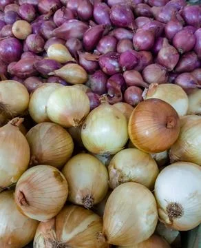 Onions  Stockfoto's