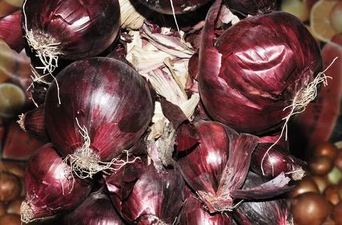 Onions Stock Photos