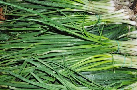 Onions Stock Photos