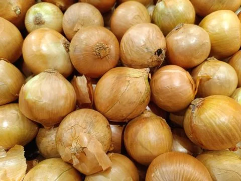 Onions Foto stock