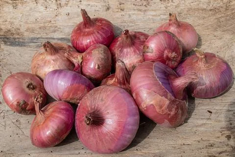 Onions Stock Photos