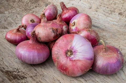 Onions Stock Photos