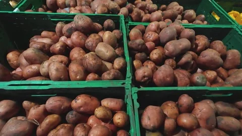 Onions, potatoes and squash in plastic boxes at the supermarket. Vidéo 316521512