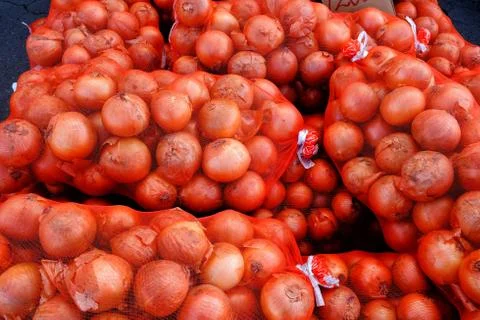 Onions in the Red Sacks. Stock Photos