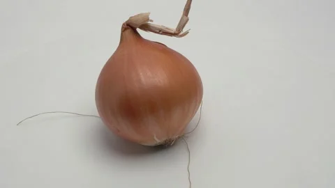 Onions rotate on a white background. Video stock 265958286