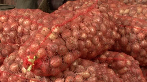 Onions in a sack Vídeo Stock 41131289