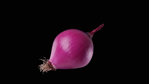 Onions spin and float - onion isolated, alpha channel included 動画素材 161356845
