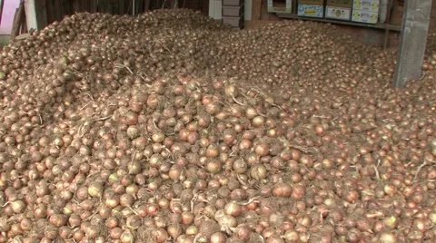 Onions in storage Stock Footage 41130885