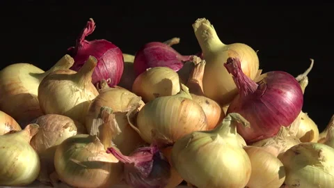 Onions in a studio shot against a black bacground Stock Footage 239681758