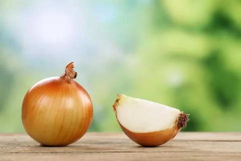 Onions in summer with copyspace Stock Photos