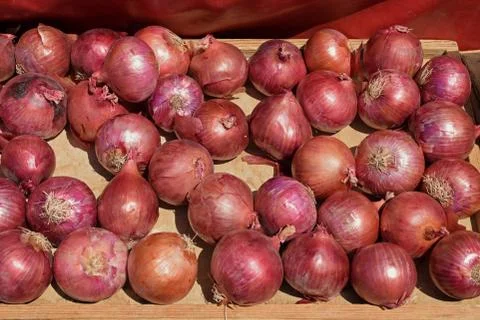 Onions vegetable background Stock Photos