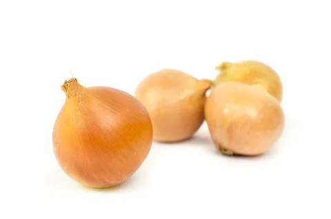 Onions on white background Stock Photos