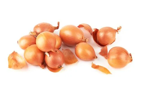 Onions on white background Stock Photos