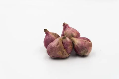 Onions on a white background Stock Photos