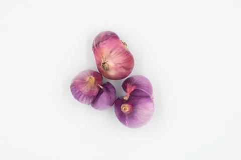 Onions on a white background Stock Photos