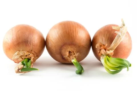 Onions on white Stock Photos