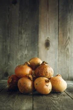 Onions on a wooden table Stock Photos