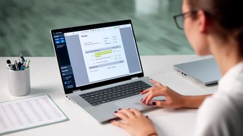 Online Accounting Software For Chartered Accountant Stock Footage 313360334