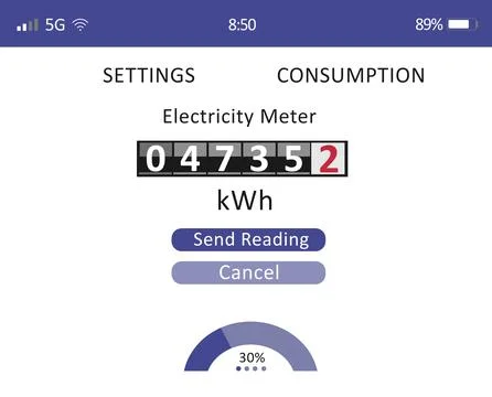 Online app with electricity meter data, illustration Stock Illustration