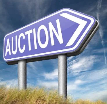 Online auction Illustrazione stock