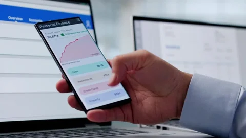 Online Bank Budget Computer App Stock Footage 307623741