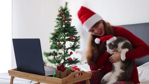 Online Christmas with cat Stock Footage