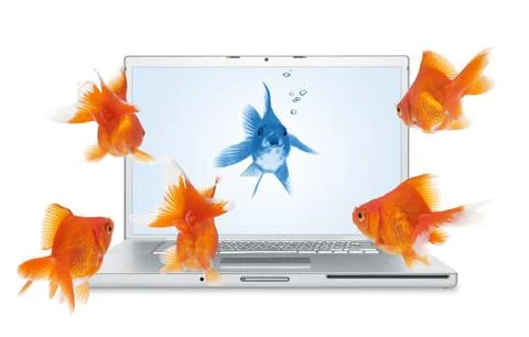 Online communication Stock Photos