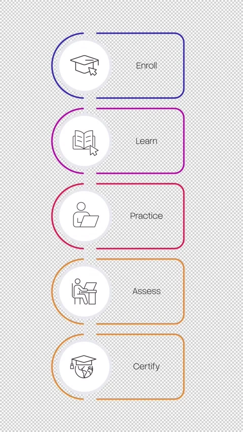 Online learning process line icons infographic animation Stock Footage 340288578