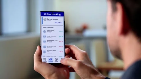 Online Money Transfer: Check Saving Account Balance Stock Footage 318325955