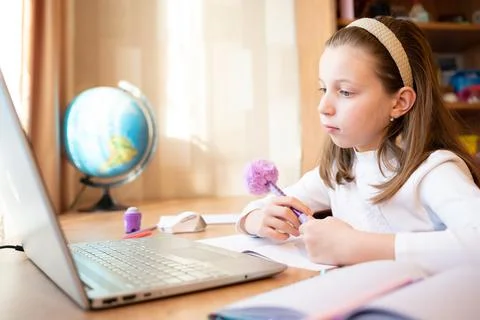 Online remote learning. school kid with computer having video conference chat Foto stock
