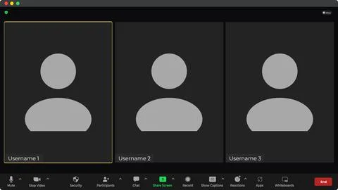 Online video call interface template with user icon. Application for calls Stock Illustration