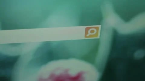 Online Web Search Stock Footage 21266707
