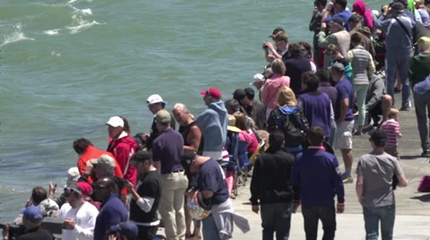 Onlooking crowd of people Stock Footage 36544601